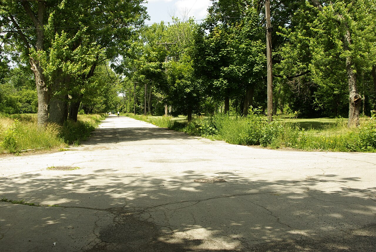 Abandoned overgrown streets of the Love Canal neighborhood
